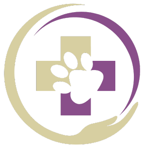 pet vaccination icon