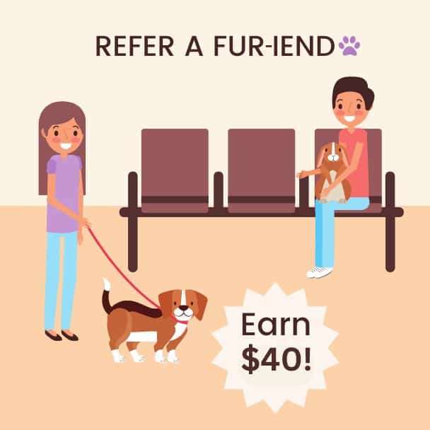 Refer a fur-iend graphic